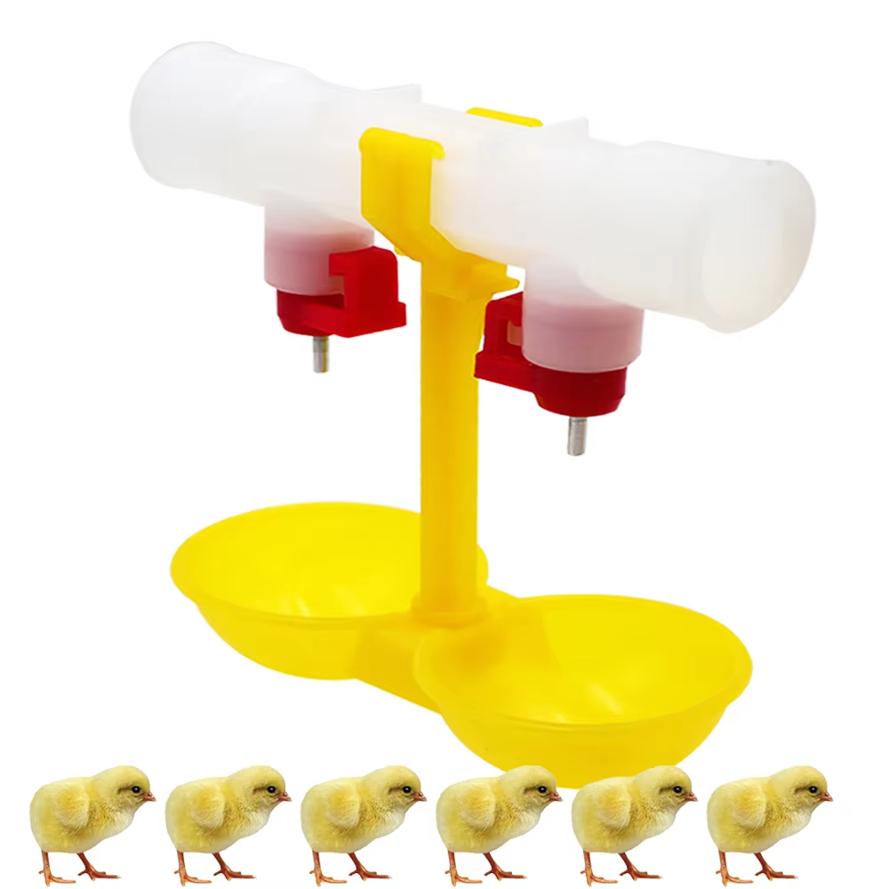 5/10/20Pcs Huhn Doppel Kopf Ni – Zwitsal Baby Products Bewertung und Preis